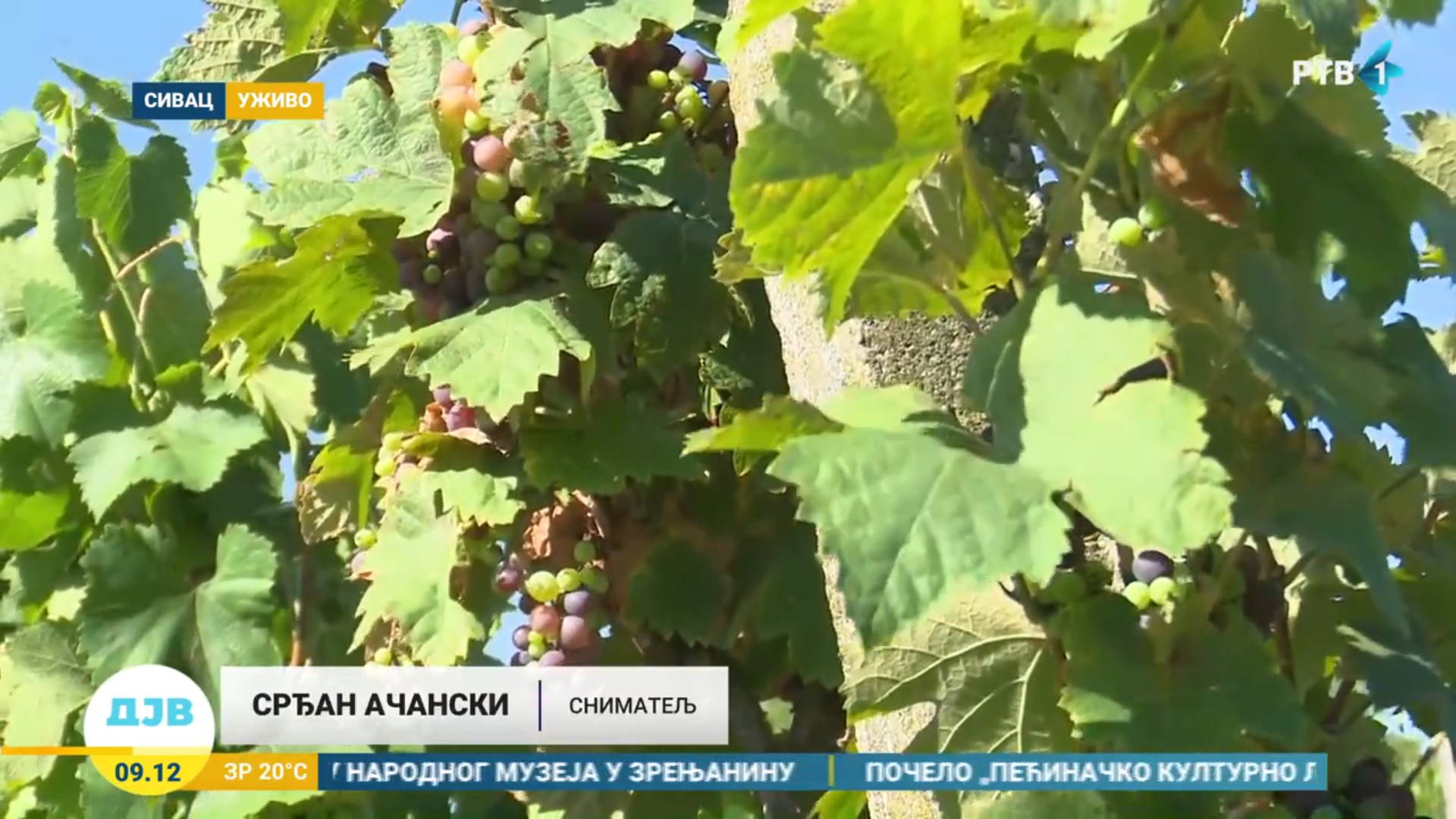 image_2024-07-31_000301255