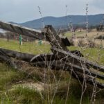 343014411_1074198036870681_7093339458750556719_n