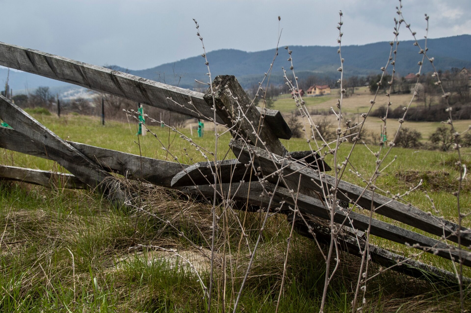 343014411_1074198036870681_7093339458750556719_n