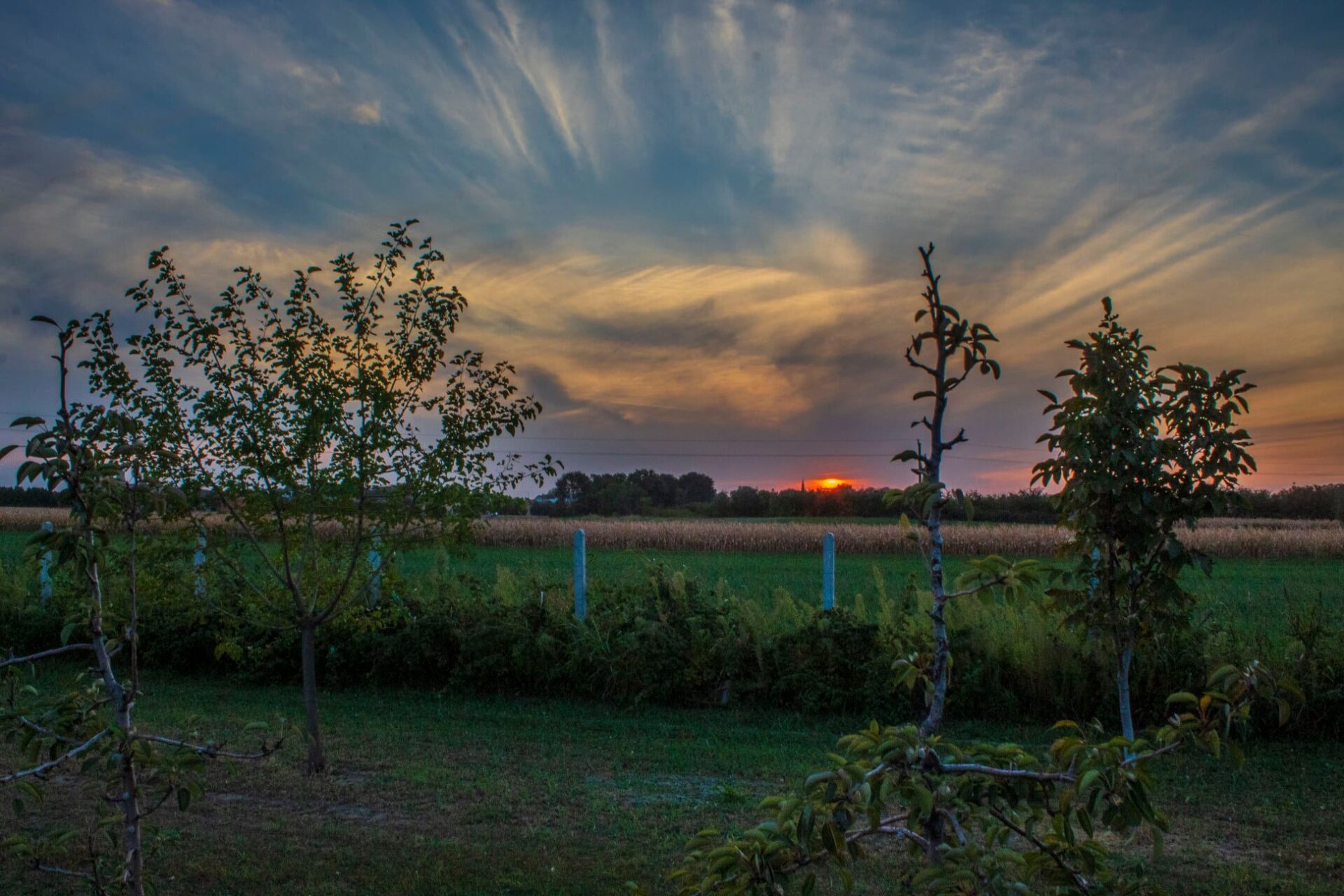 Sivac © AcanskiS  RTV