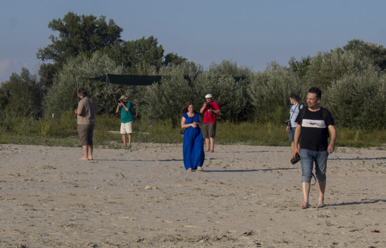455