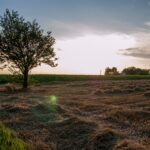 Sombor © AcanskiS RTV
