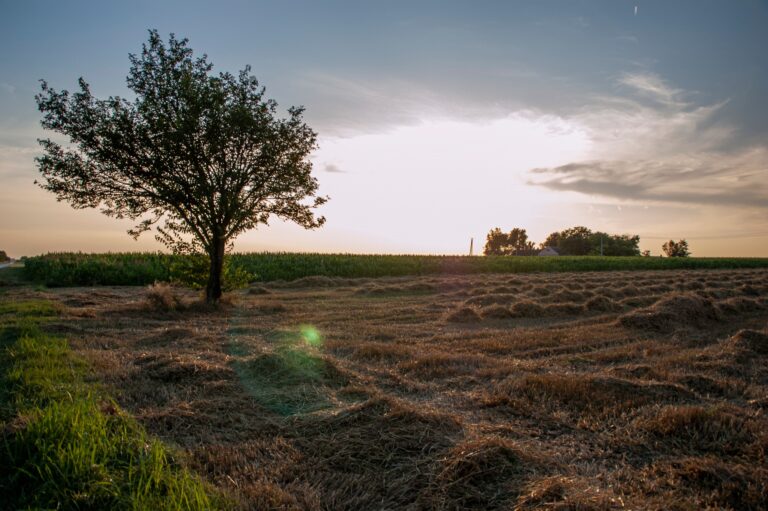 Sombor © AcanskiS RTV