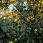 IMG_20250622_200217
