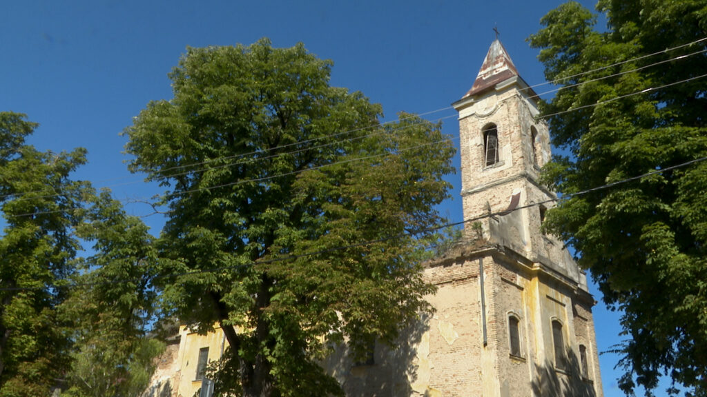 Kolut © AcanskiS  RTV