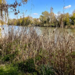 Sombor-Kanal© AcanskiS