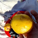 IMG_20251029_135942