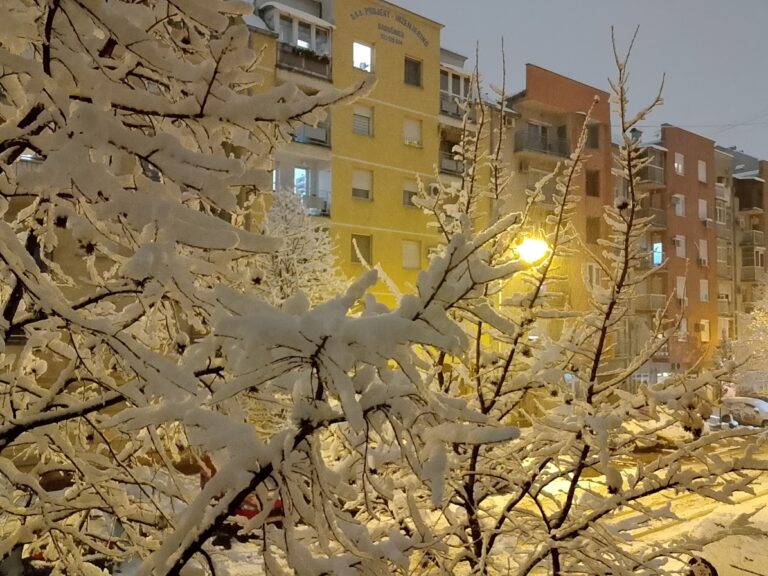 Novi Sad - Detelinara Acanskis@RTV