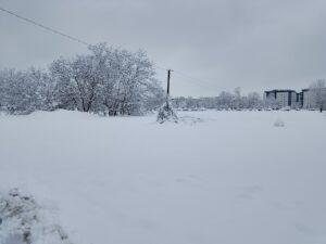 IMG_20260105_110904
