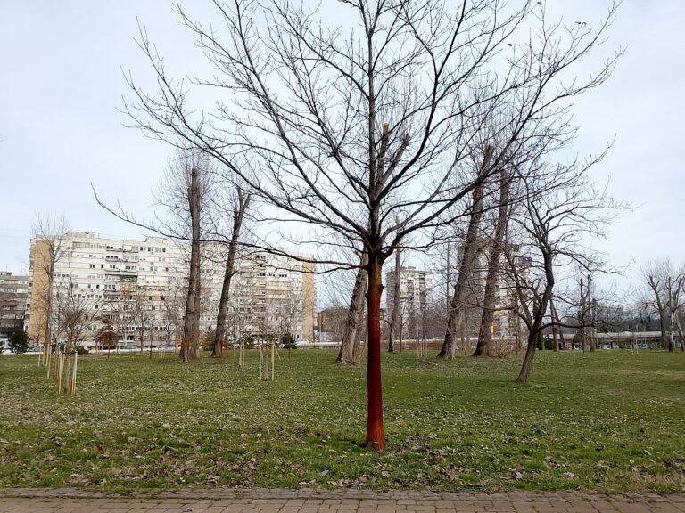 Novi Sad Liman - Acanskis@RTV