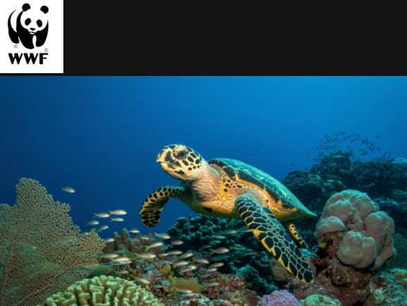 Screenshot 2026-04-10 194526