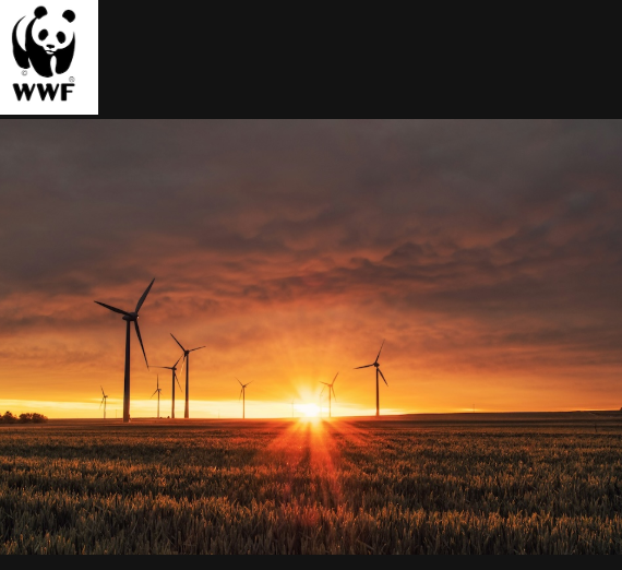 Screenshot 2026-04-16 231306