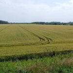 IMG_20240521_104237