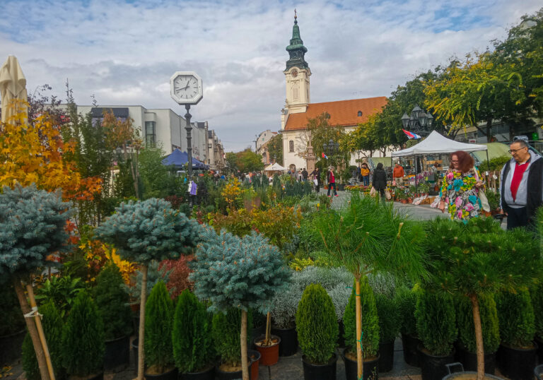 festivaql