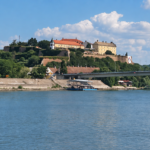 ns-novi1
